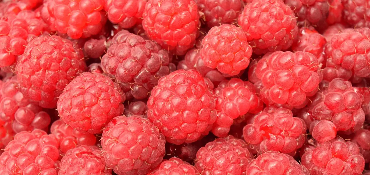 raspberries-1495713_1280